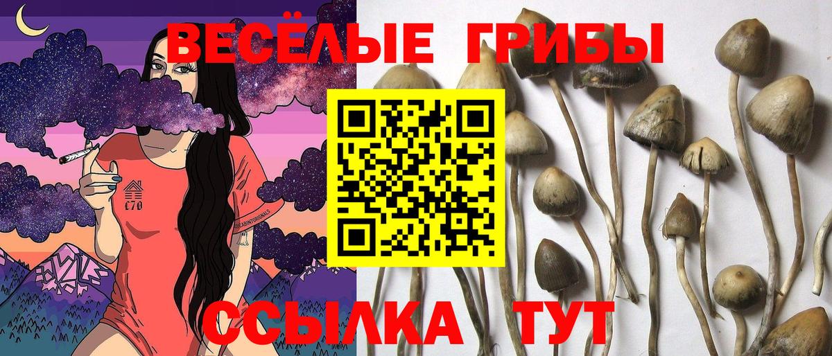 Псилоцибиновые грибы мухоморы Кимовск