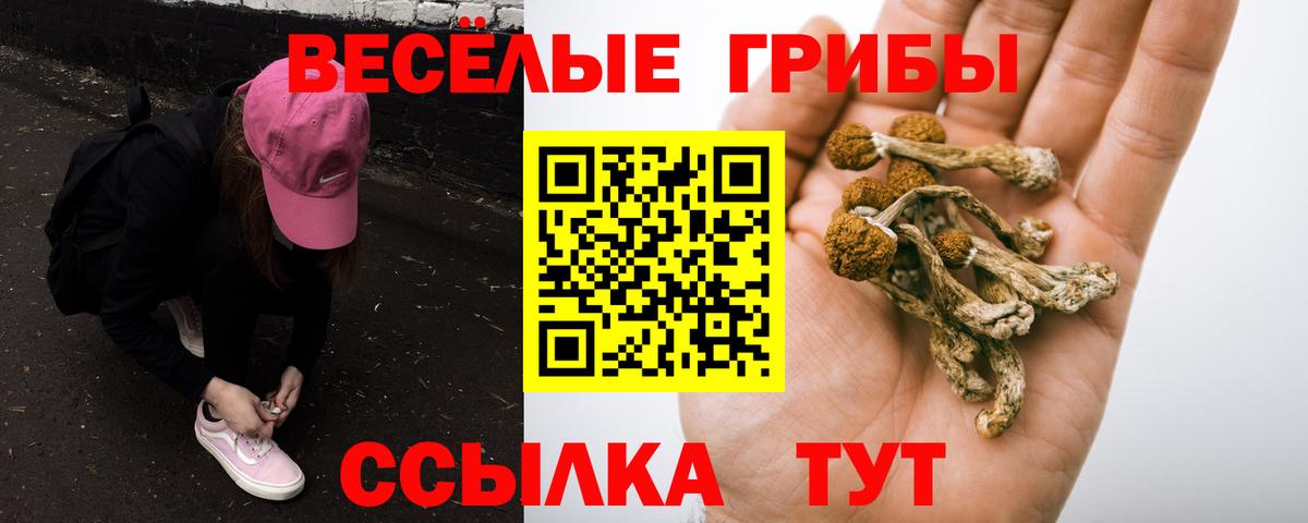 Галлюциногенные грибы MAGIC MUSHROOMS  Вход с VPN  Кимовск  Галлюциногенные грибы ЛСД 