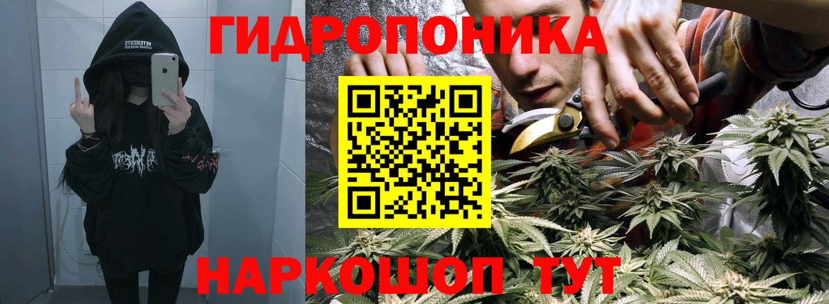 Кимовск  Бошки марихуана гибрид  Вход с VPN  Конопля гибрид  Канабис гибрид 